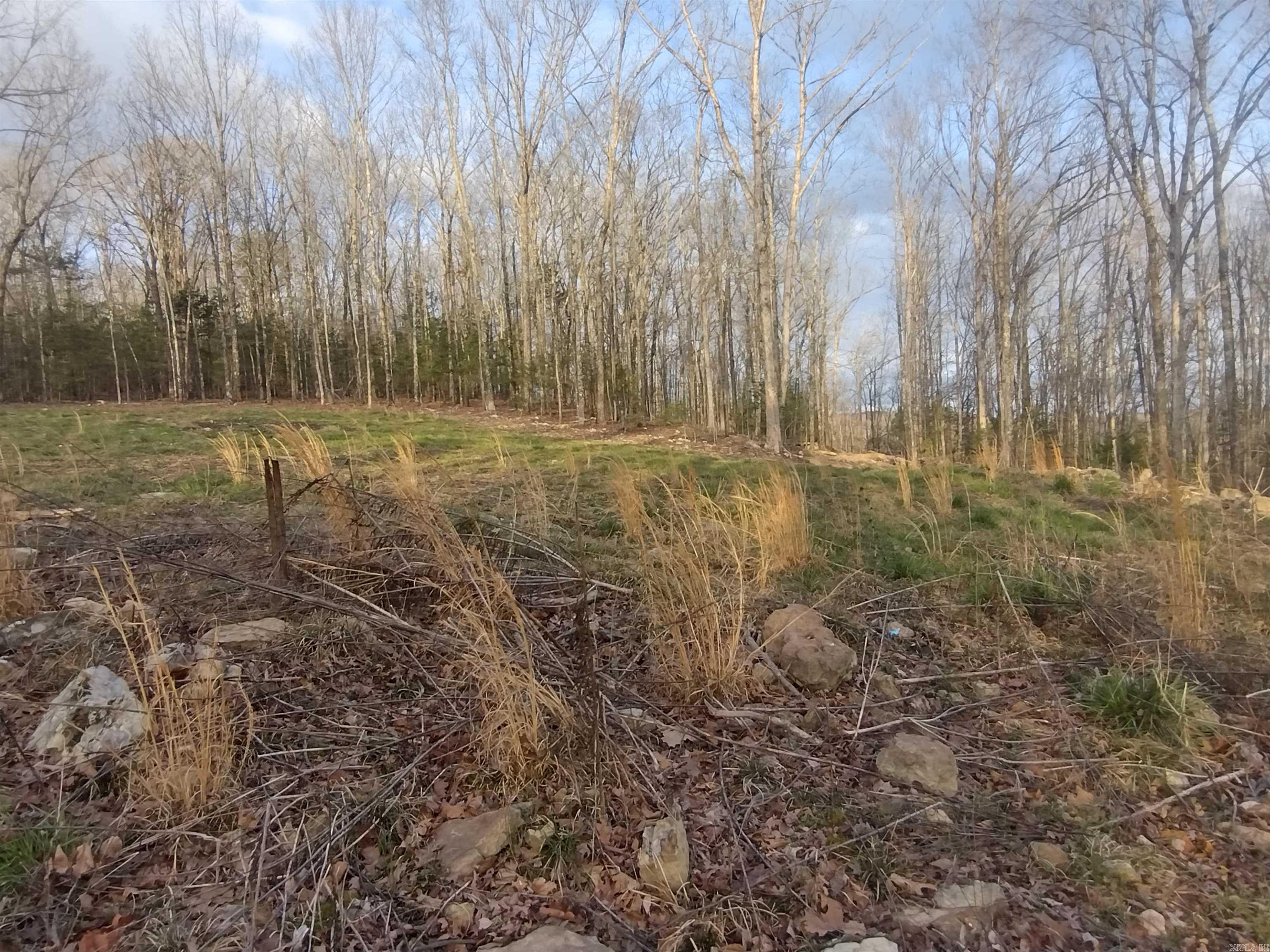 Tract 2 Alamo DR  Mountain View, AR