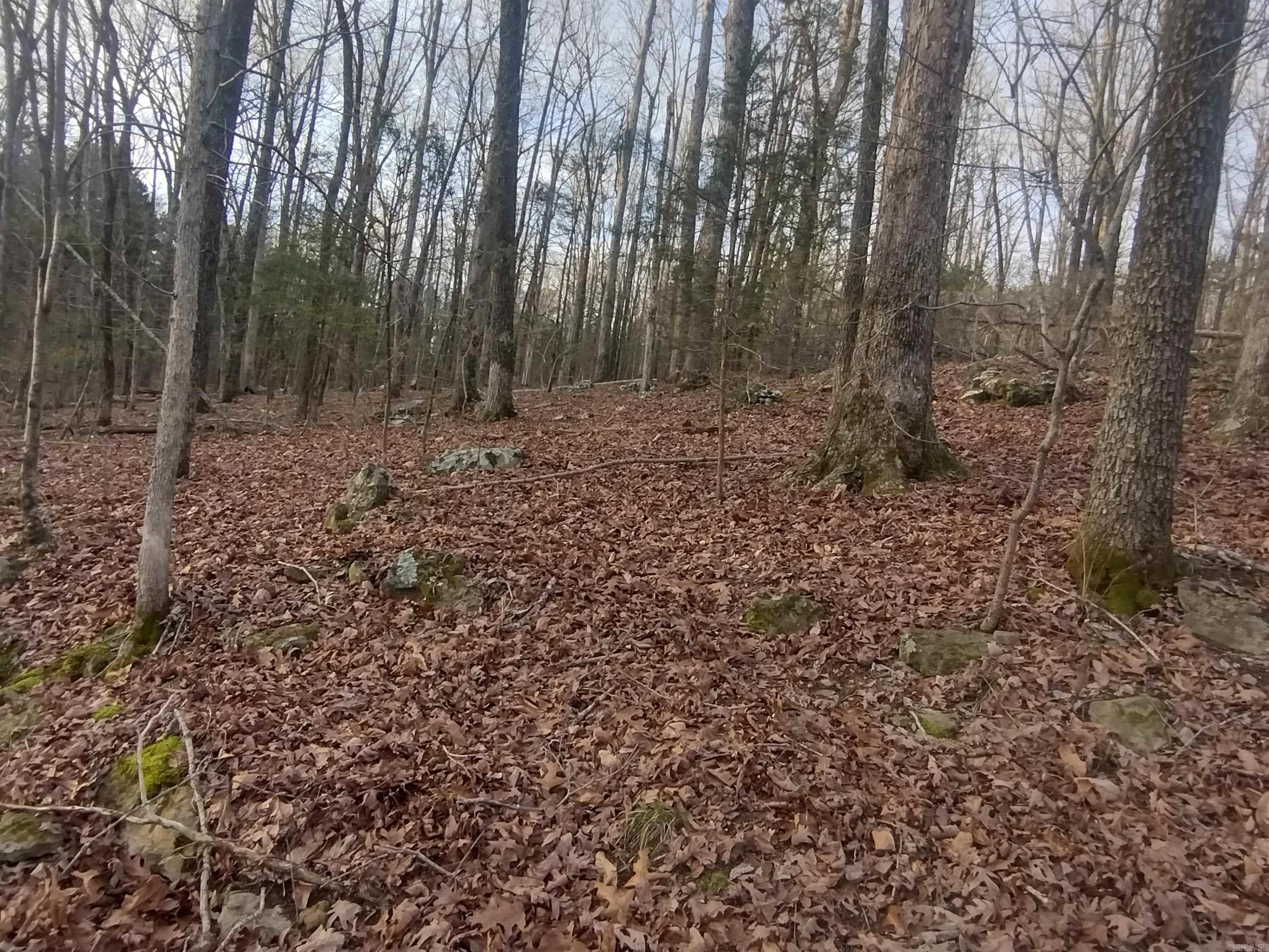 Tract 2 Alamo DR  Mountain View, AR