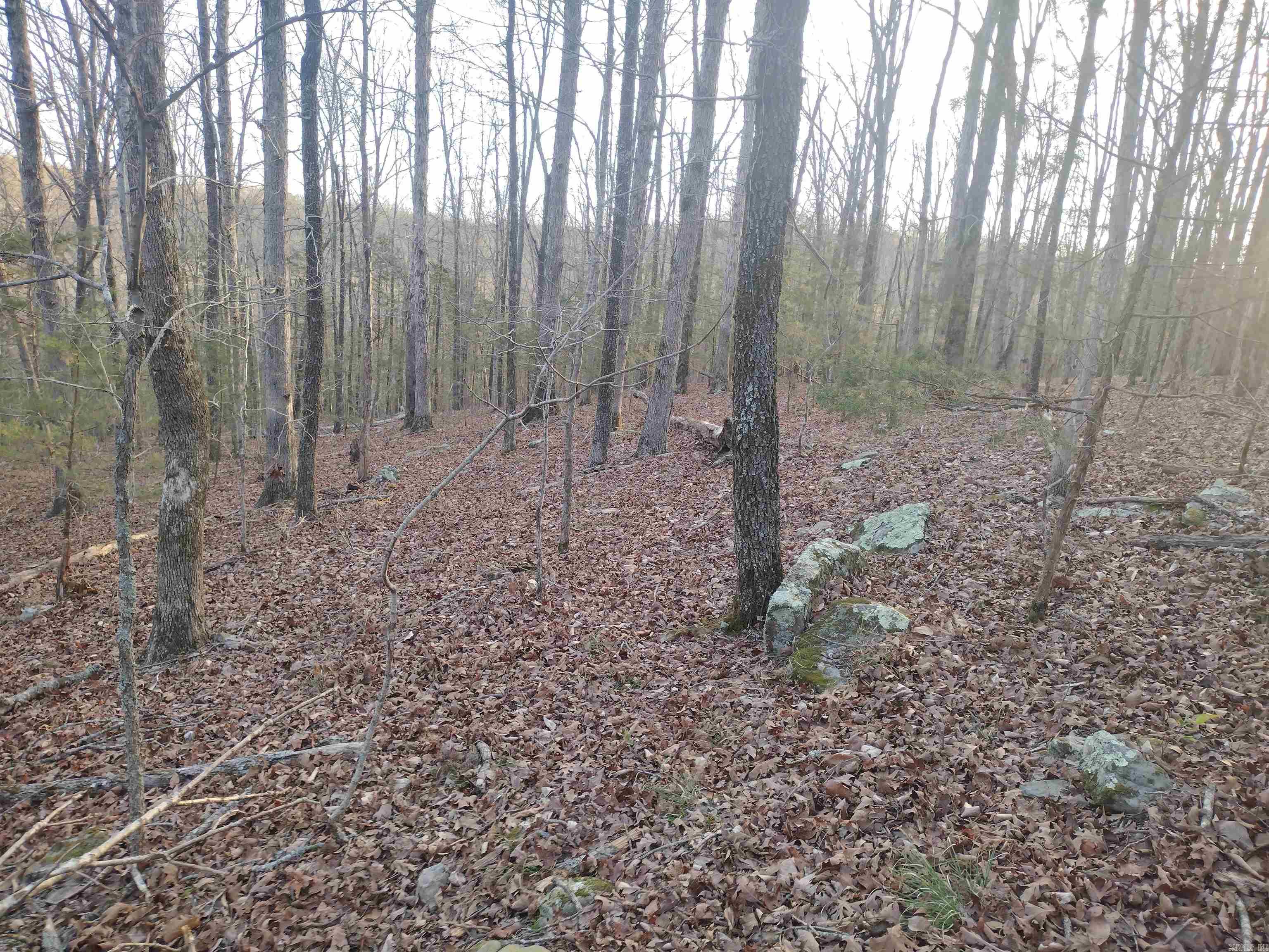 Tract 1 Alamo Dr  Mountain View, AR