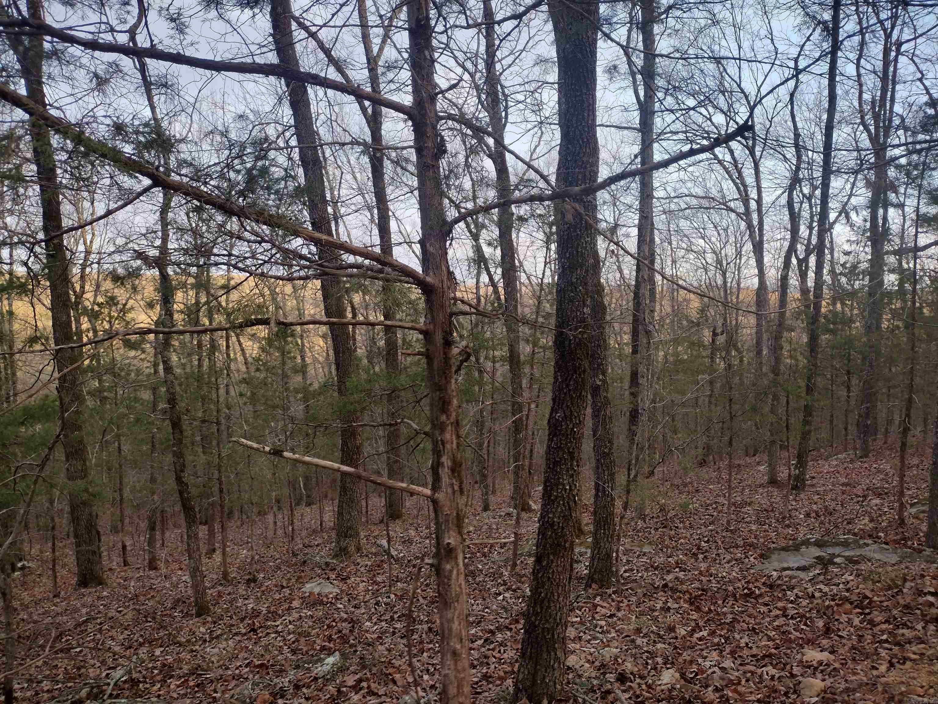 Tract 1 Alamo Dr  Mountain View, AR