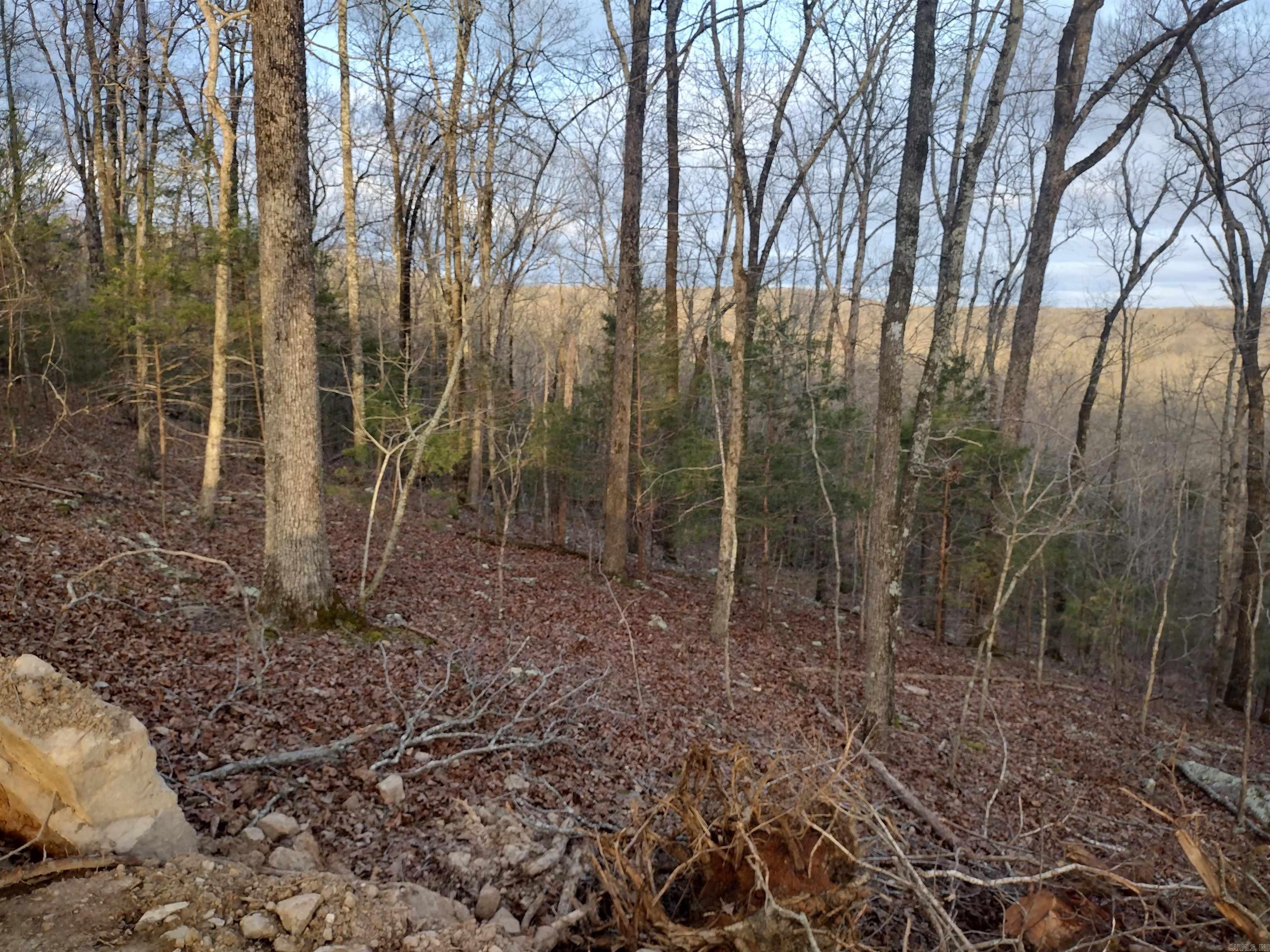 Tract 1 Alamo Dr  Mountain View, AR