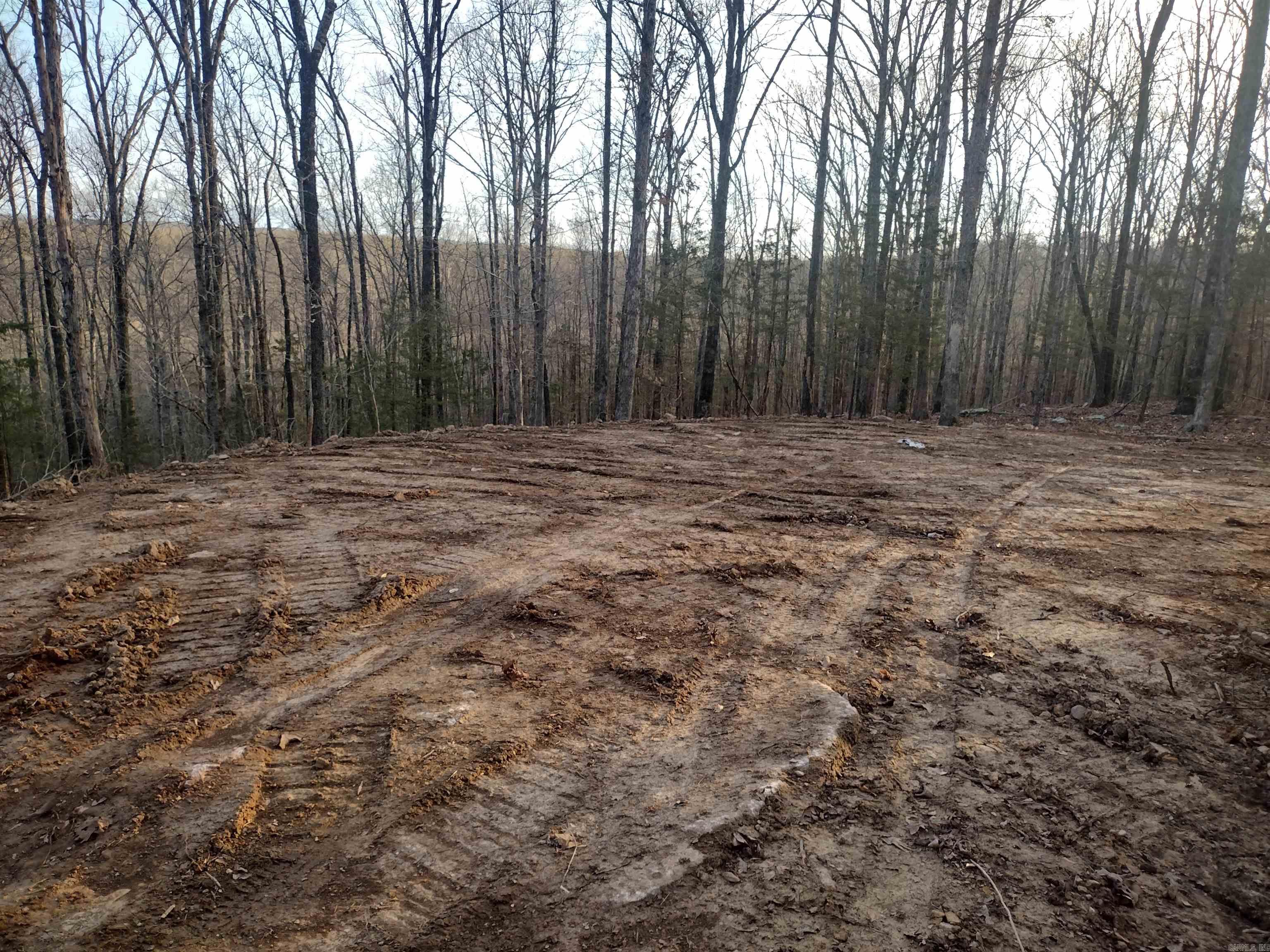 Tract 1 Alamo Dr  Mountain View, AR