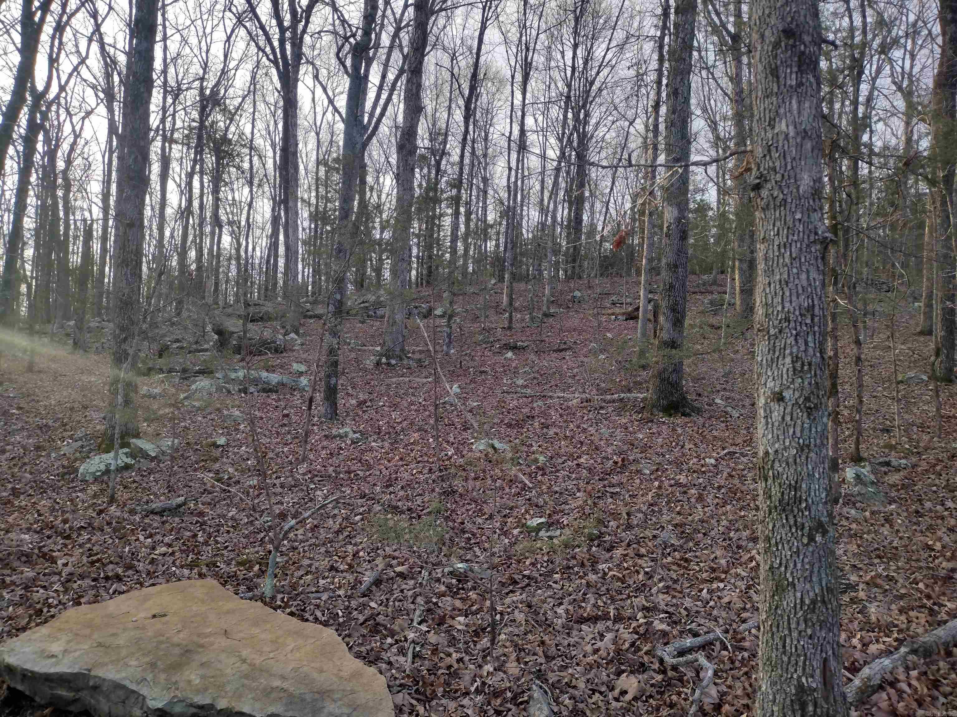 Tract 1 Alamo Dr  Mountain View, AR