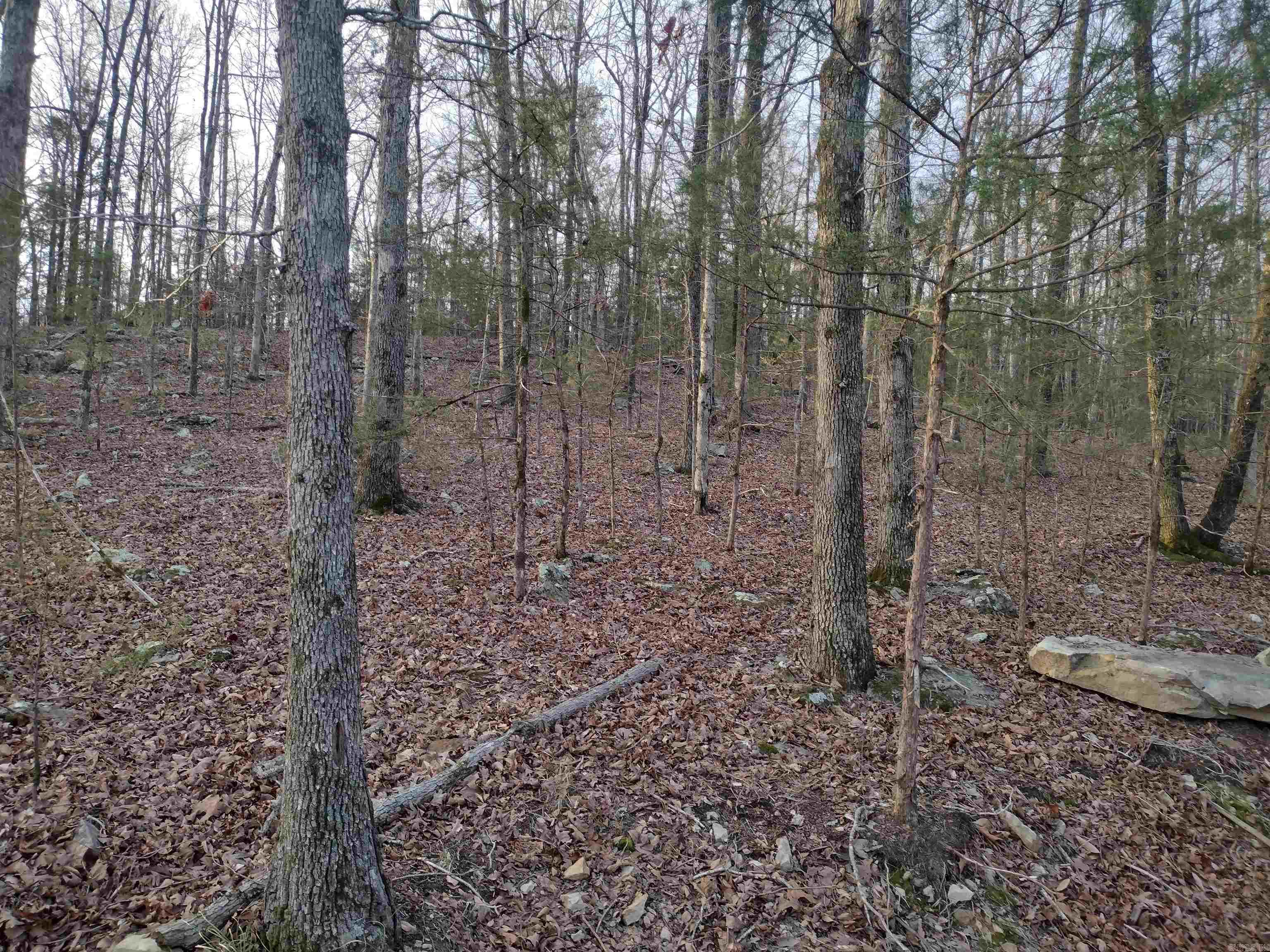 Tract 1 Alamo Dr  Mountain View, AR