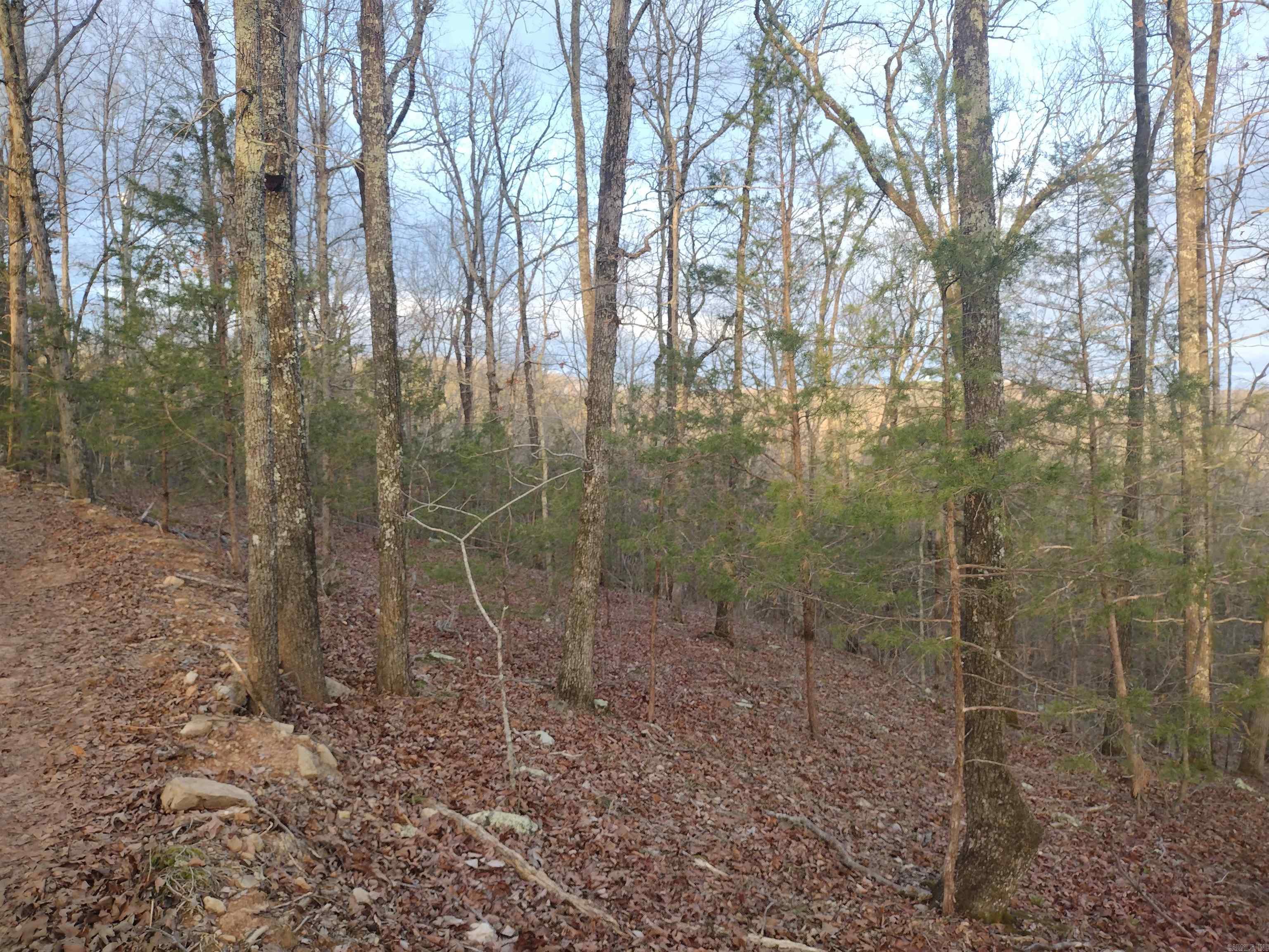 Tract 1 Alamo Dr  Mountain View, AR