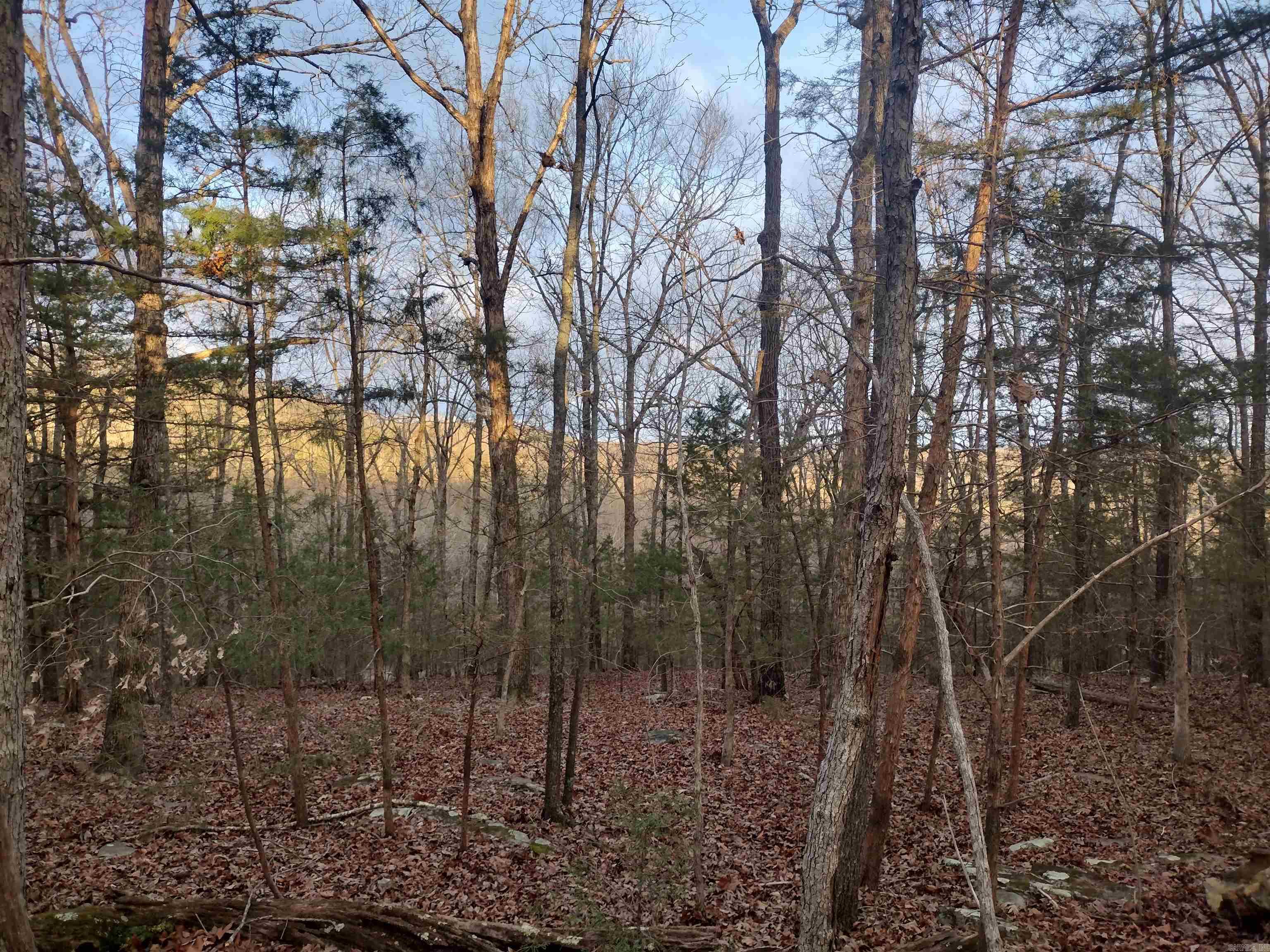 Tract 1 Alamo Dr  Mountain View, AR