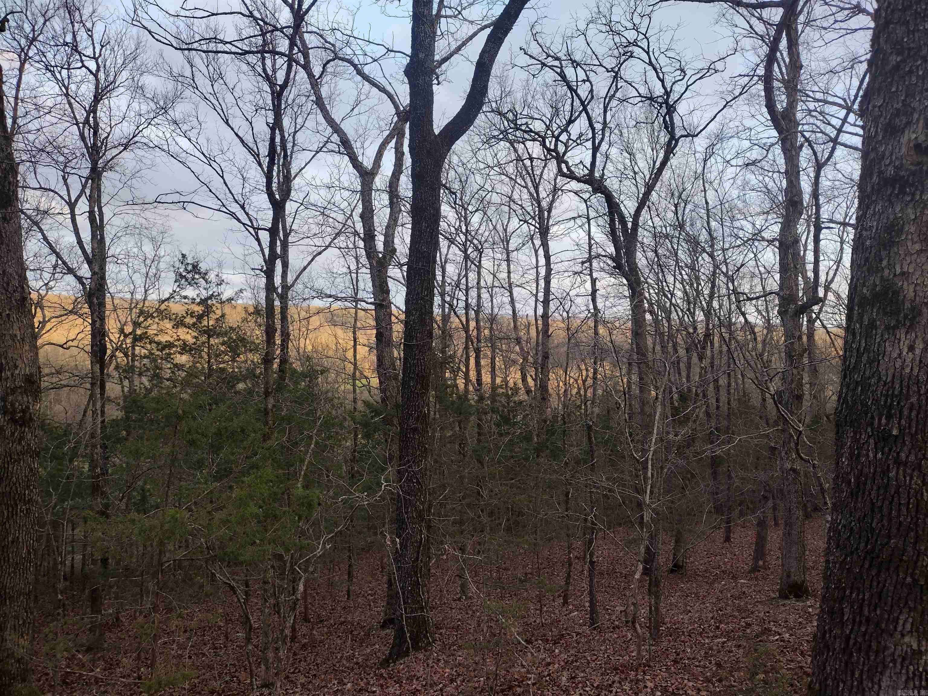 Tract 1 Alamo Dr  Mountain View, AR