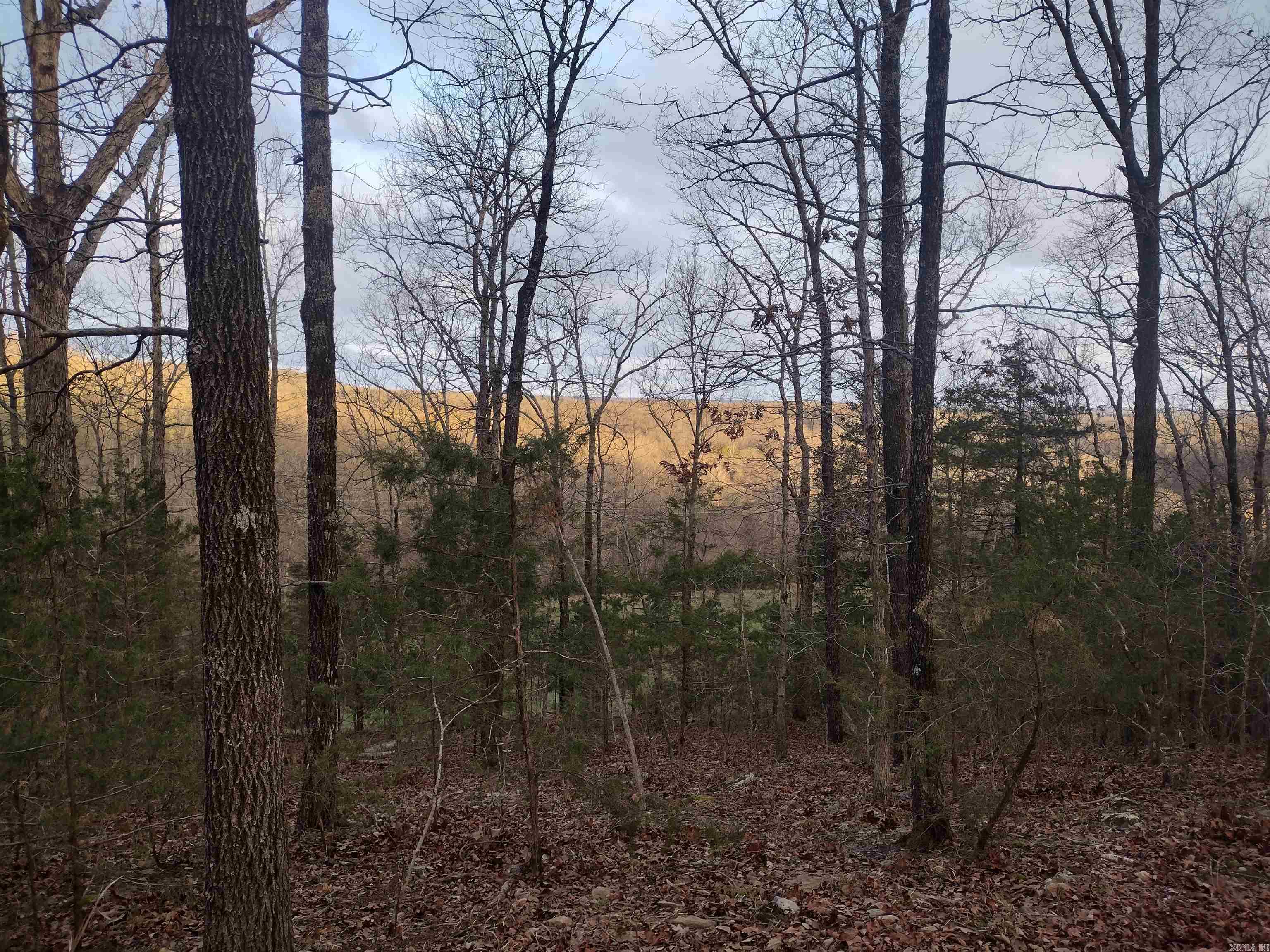 Tract 1 Alamo Dr  Mountain View, AR