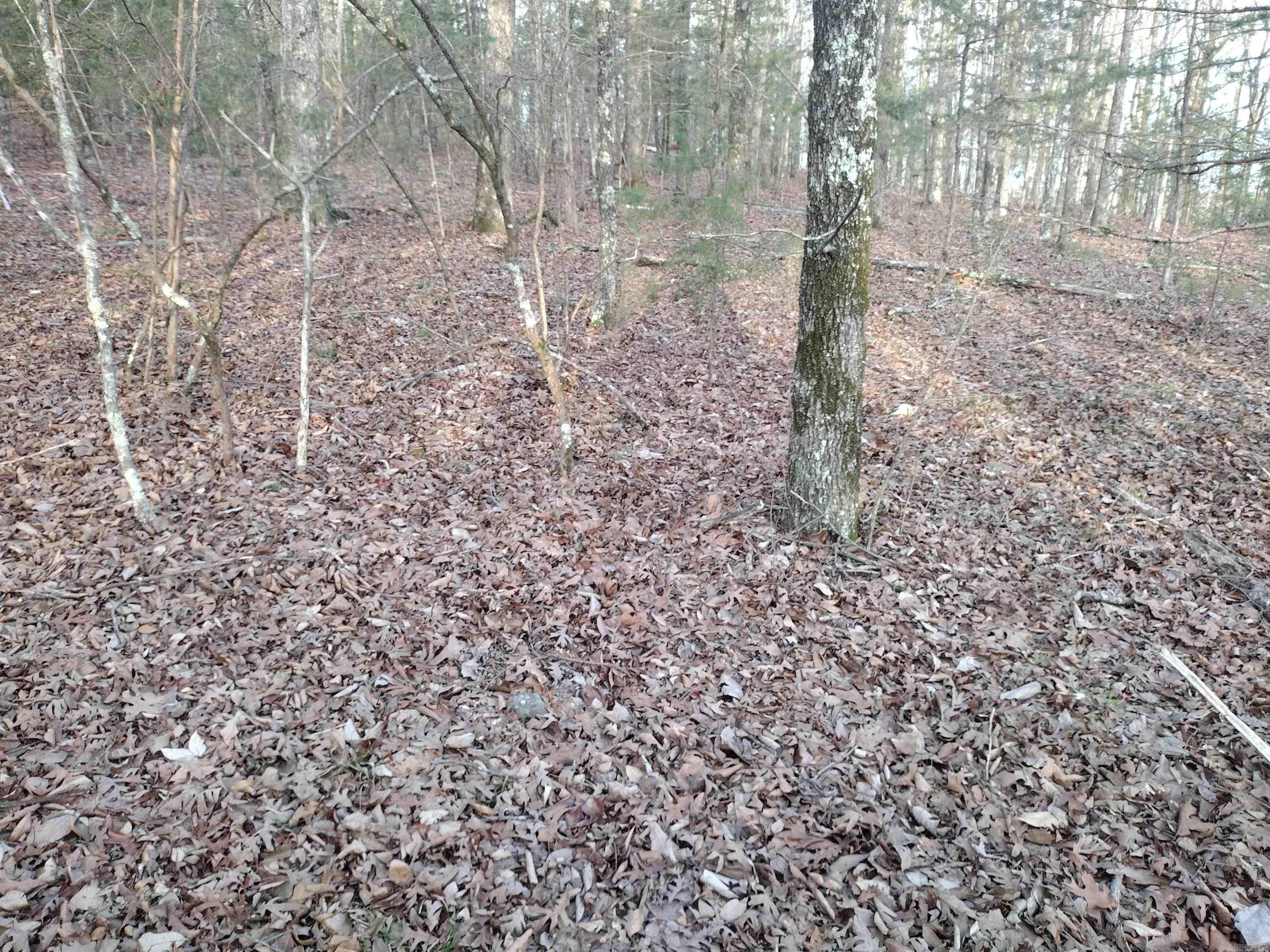 Tract 1 Alamo Dr  Mountain View, AR