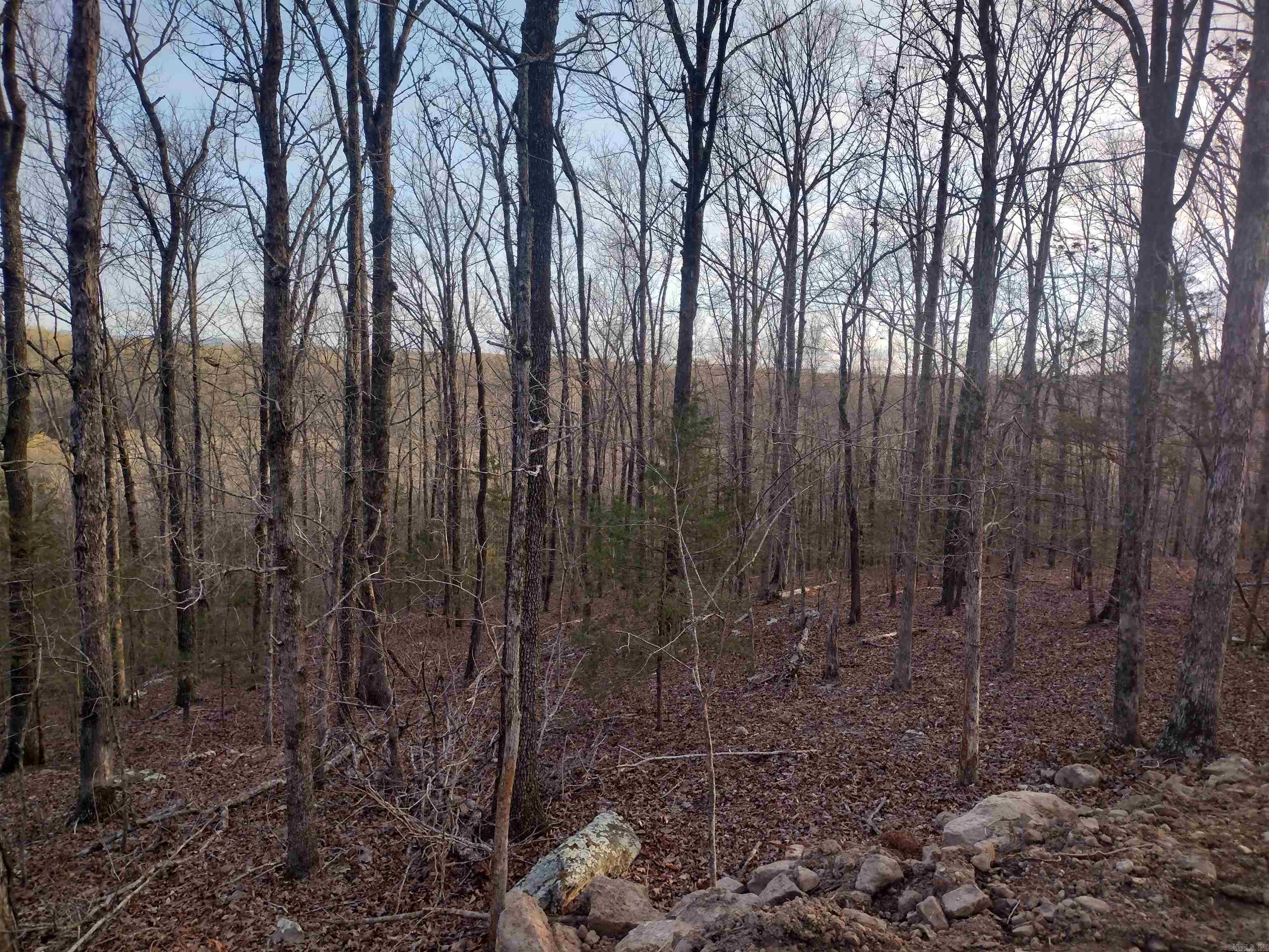 Tract 1 Alamo Dr  Mountain View, AR