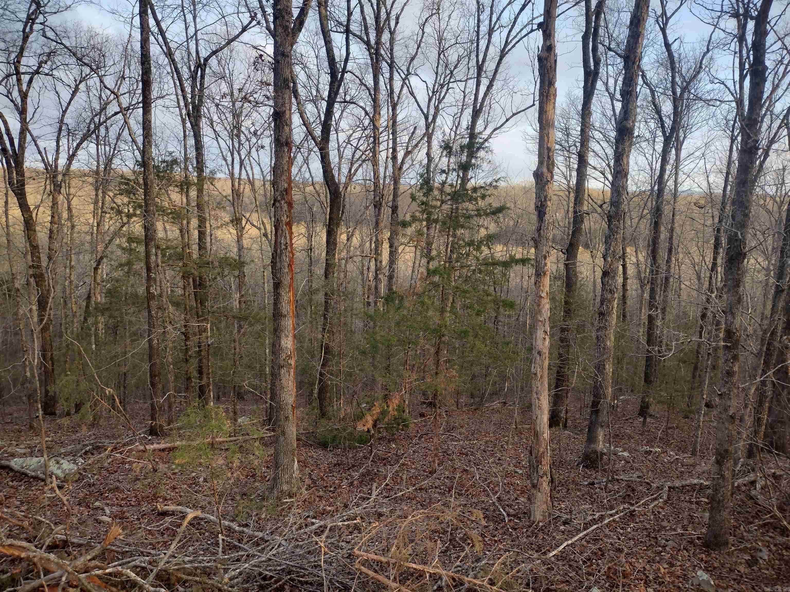 Tract 1 Alamo Dr  Mountain View, AR