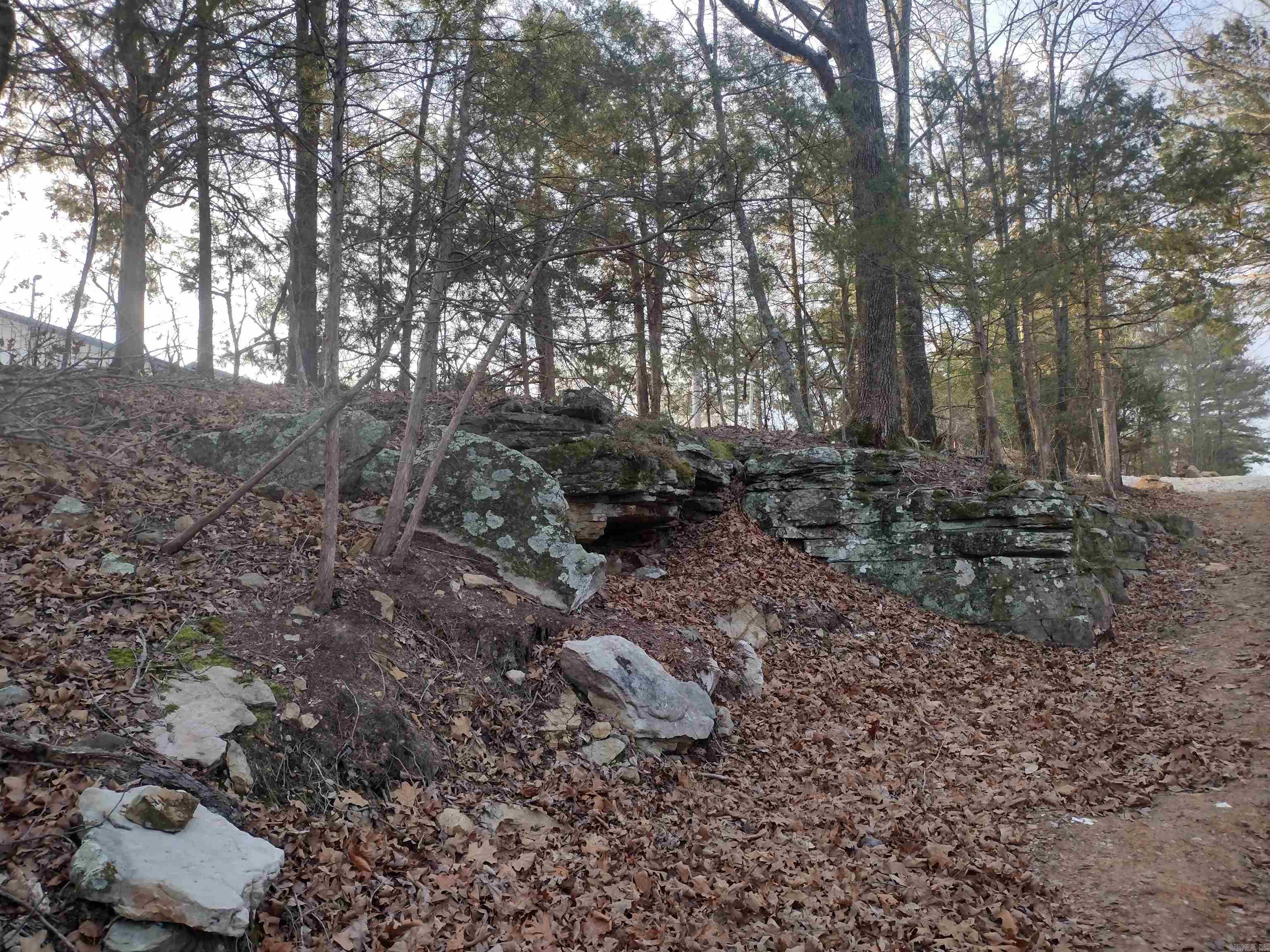 Tract 1 Alamo Dr  Mountain View, AR