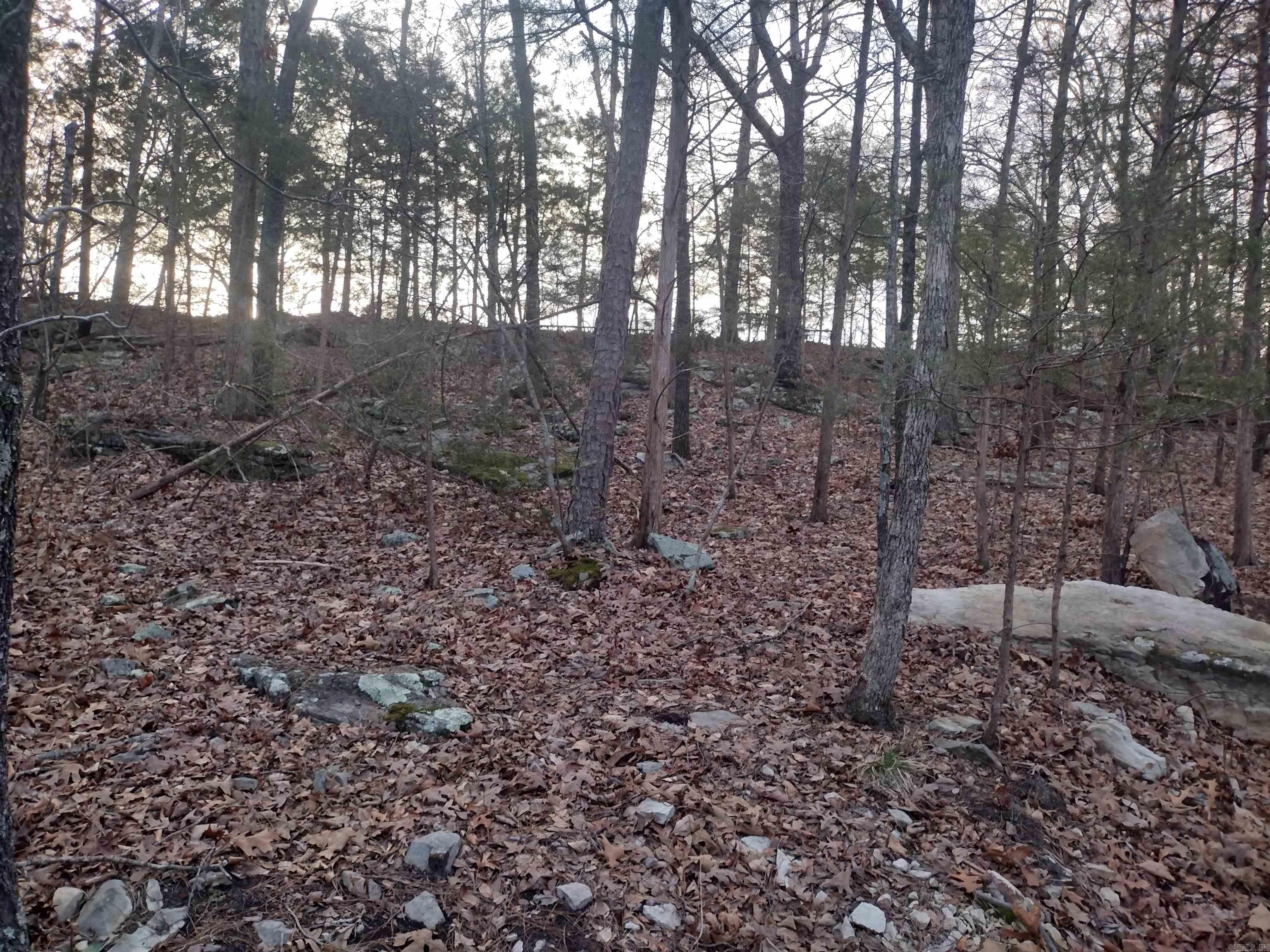 Tract 1 Alamo Dr  Mountain View, AR