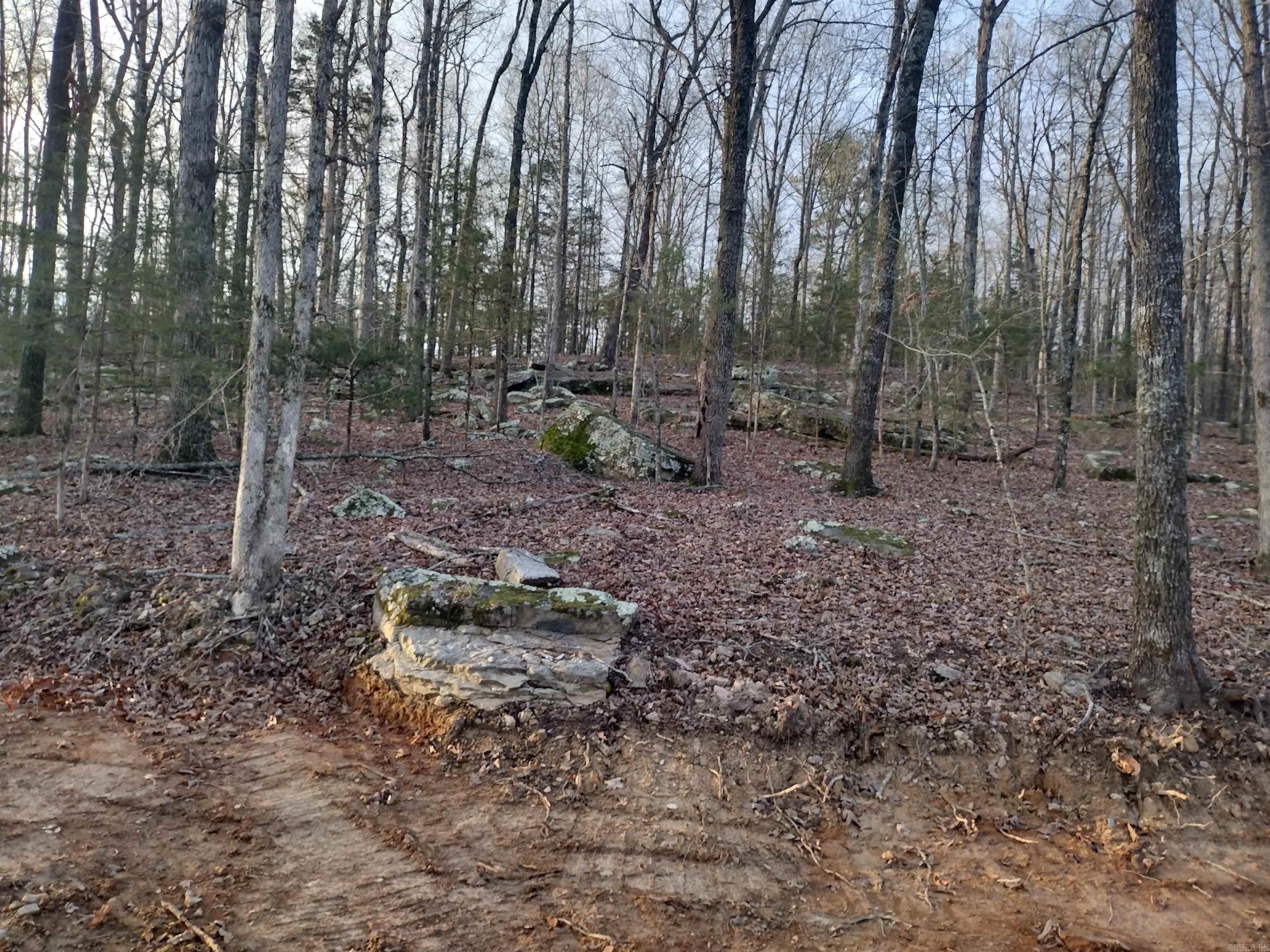 Tract 1 Alamo Dr  Mountain View, AR