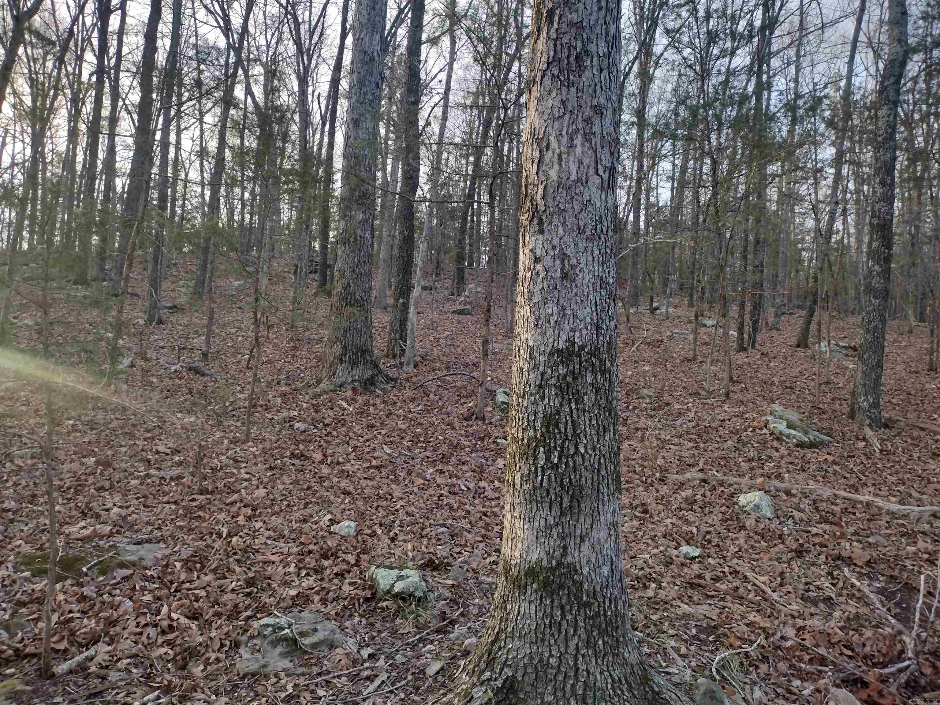 Tract 1 Alamo Dr  Mountain View, AR