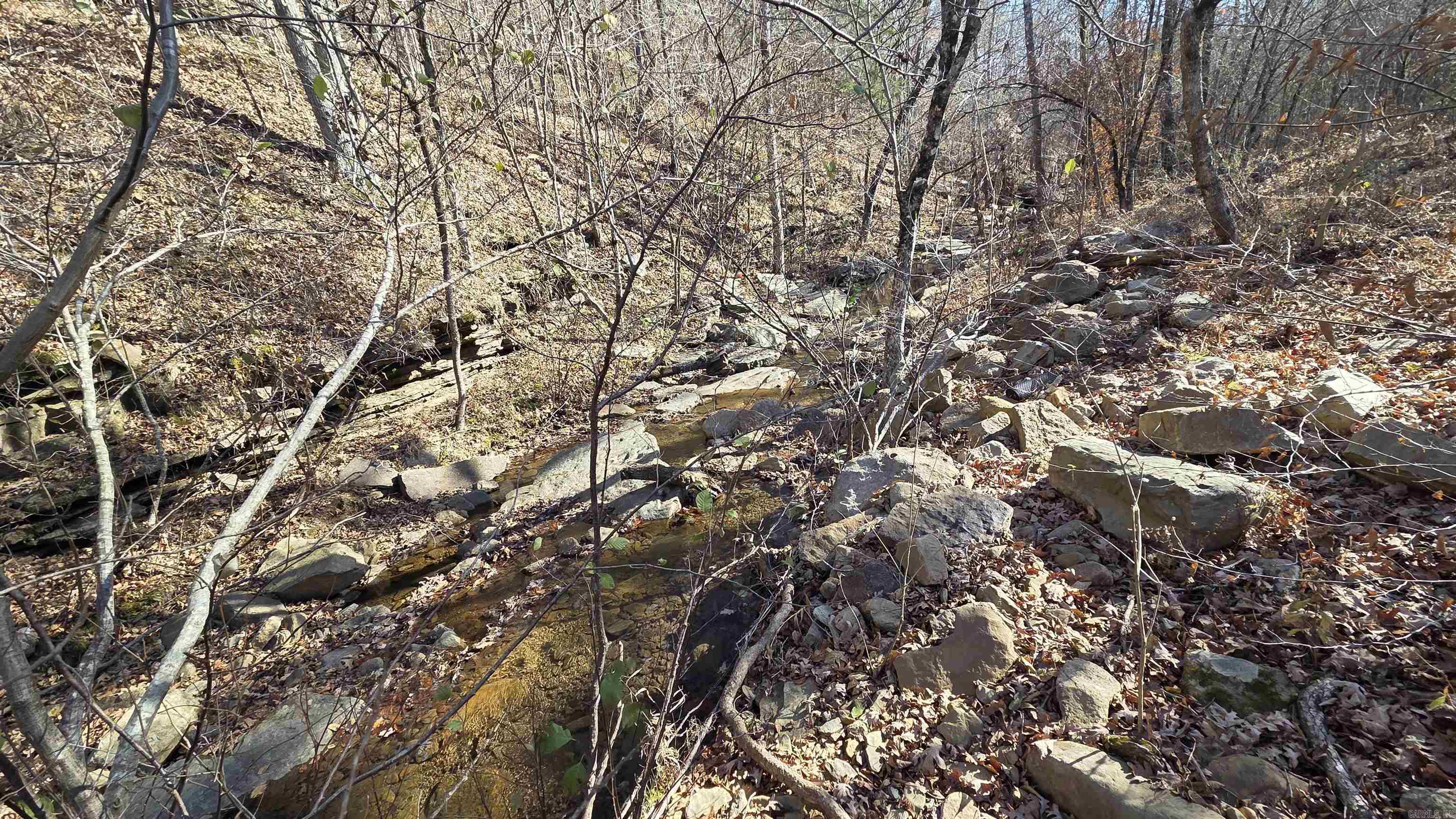 510 Good Spur  Shirley, AR