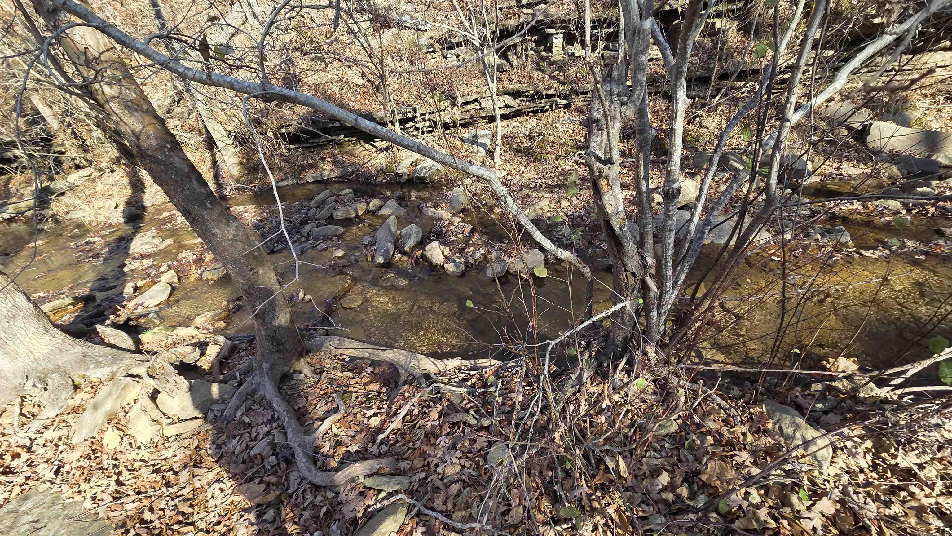 510 Good Spur  Shirley, AR