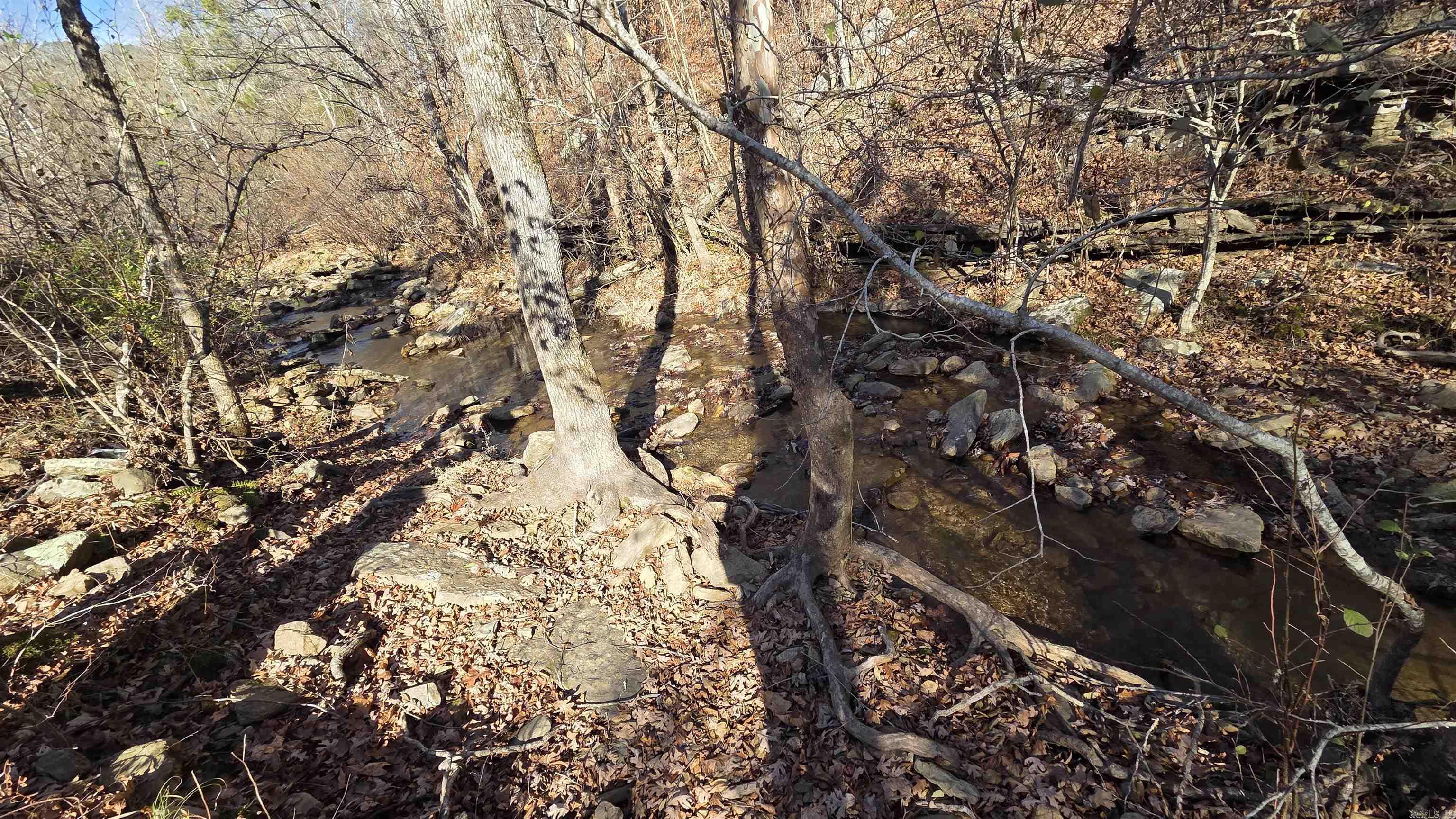 510 Good Spur  Shirley, AR