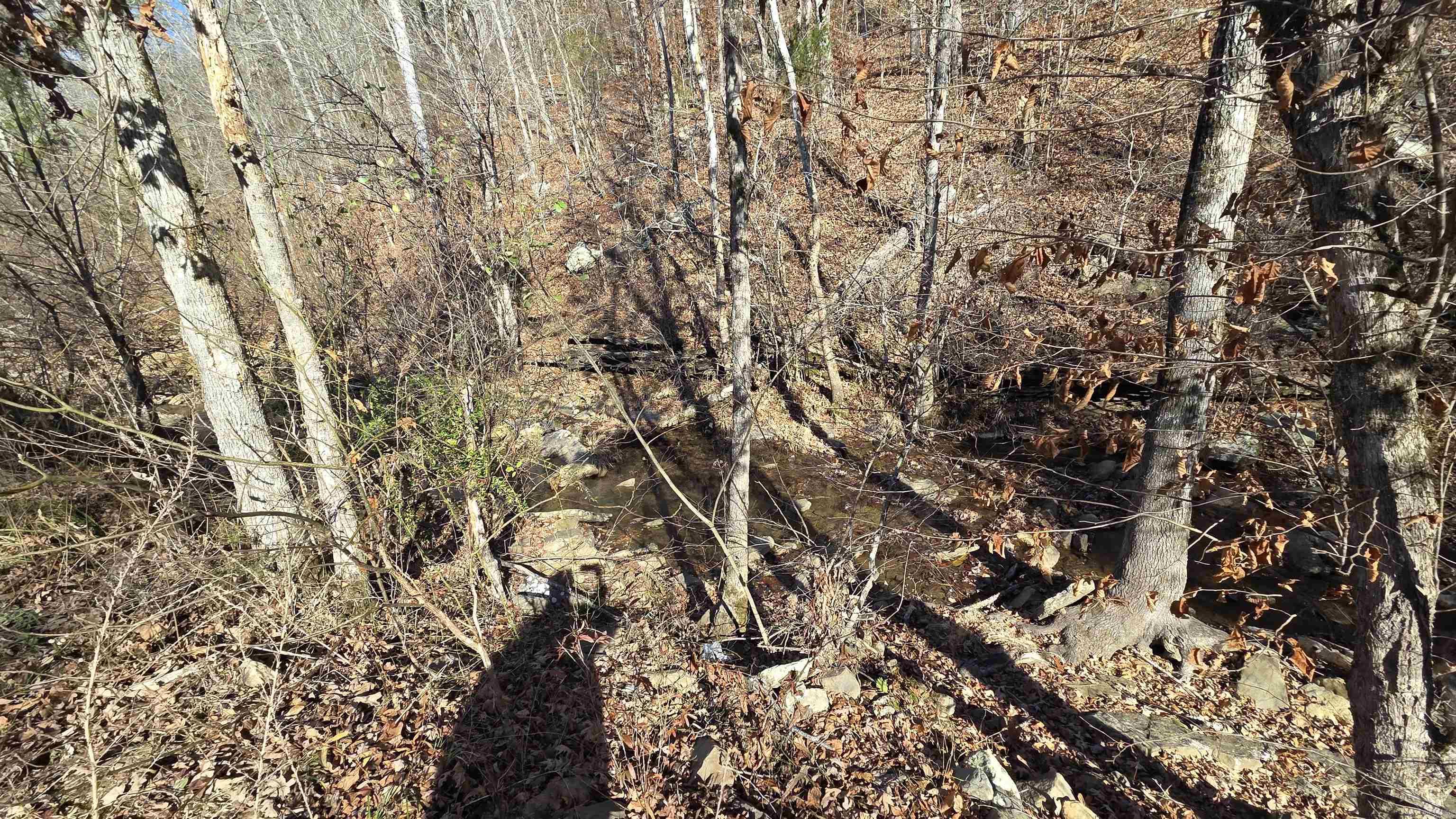 510 Good Spur  Shirley, AR