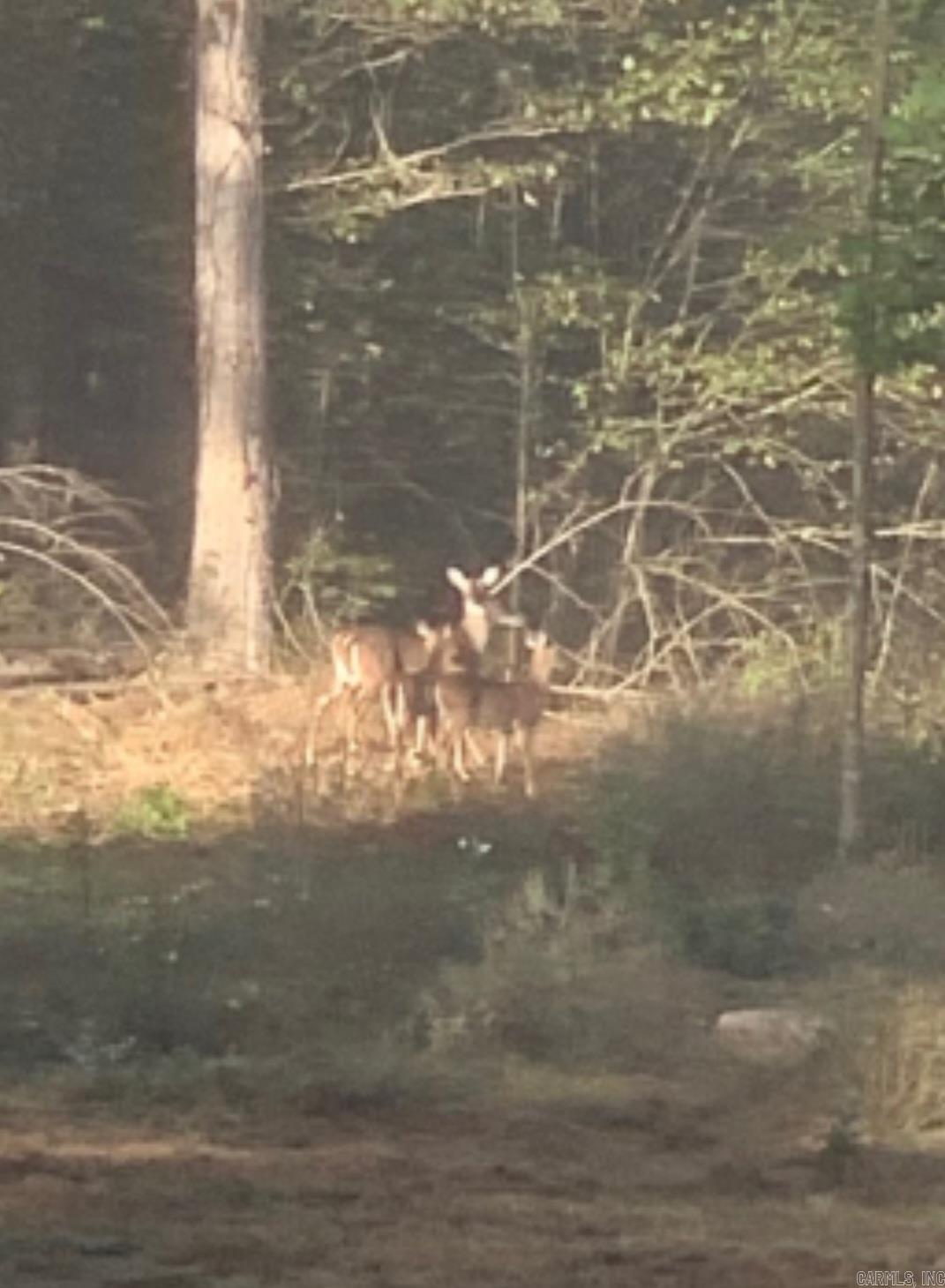 510 Good Spur  Shirley, AR