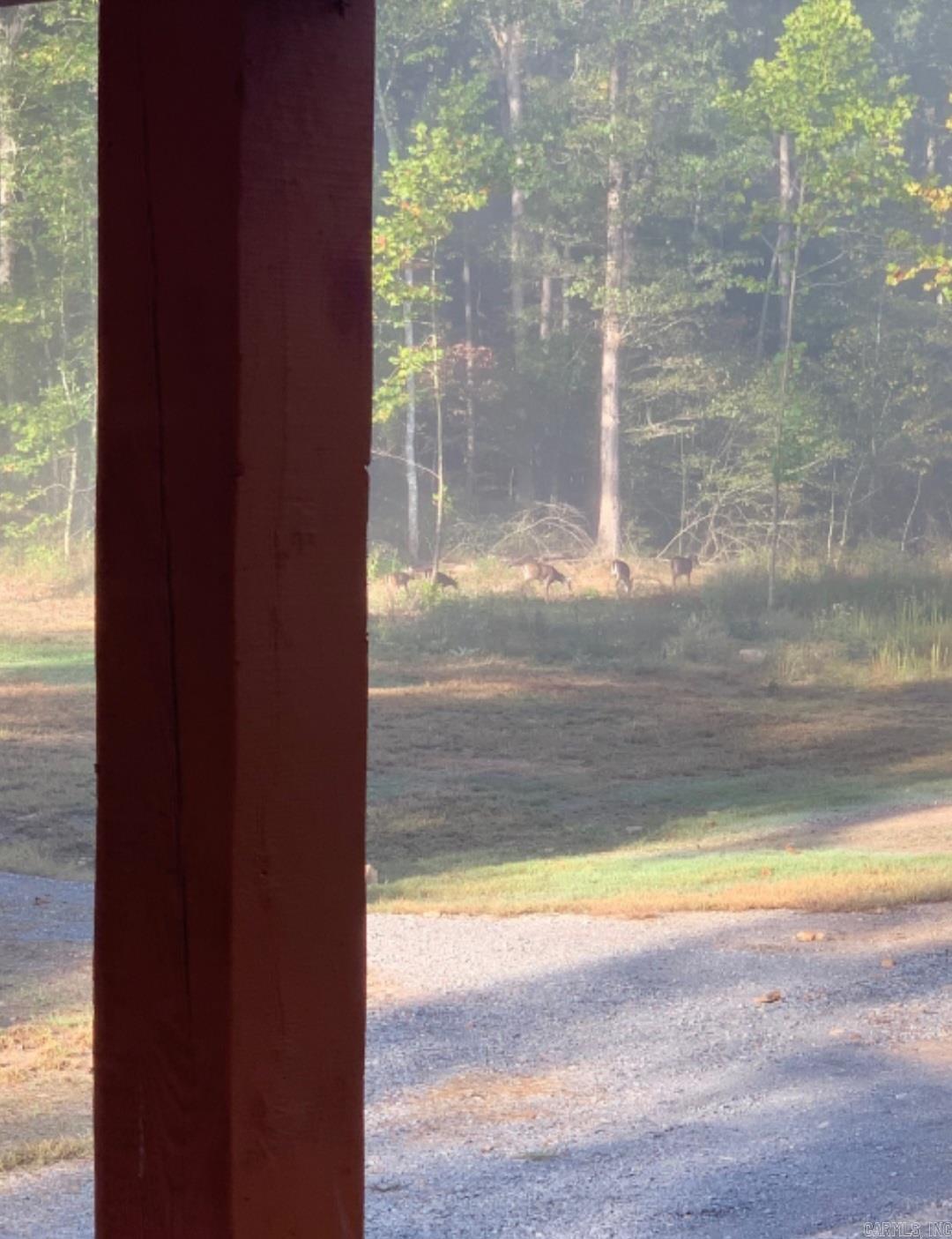 510 Good Spur  Shirley, AR