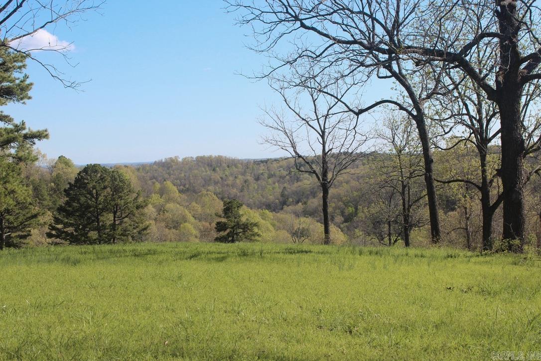 593 Hillhollow Rd  Marshall, AR