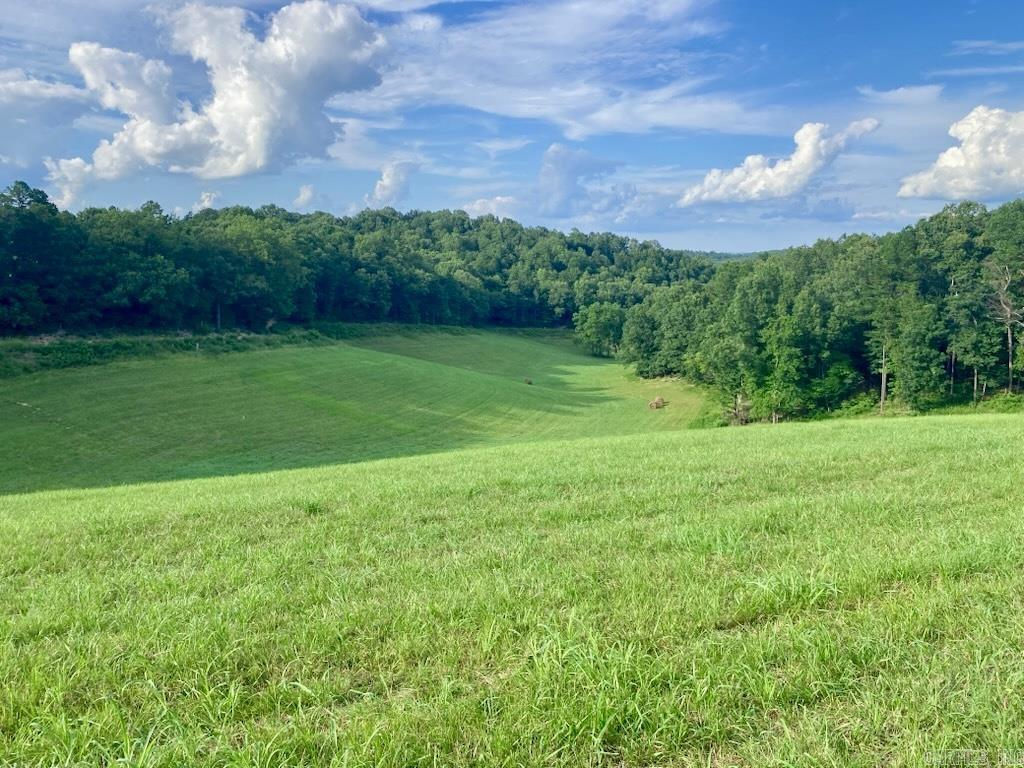 593 Hillhollow Rd  Marshall, AR