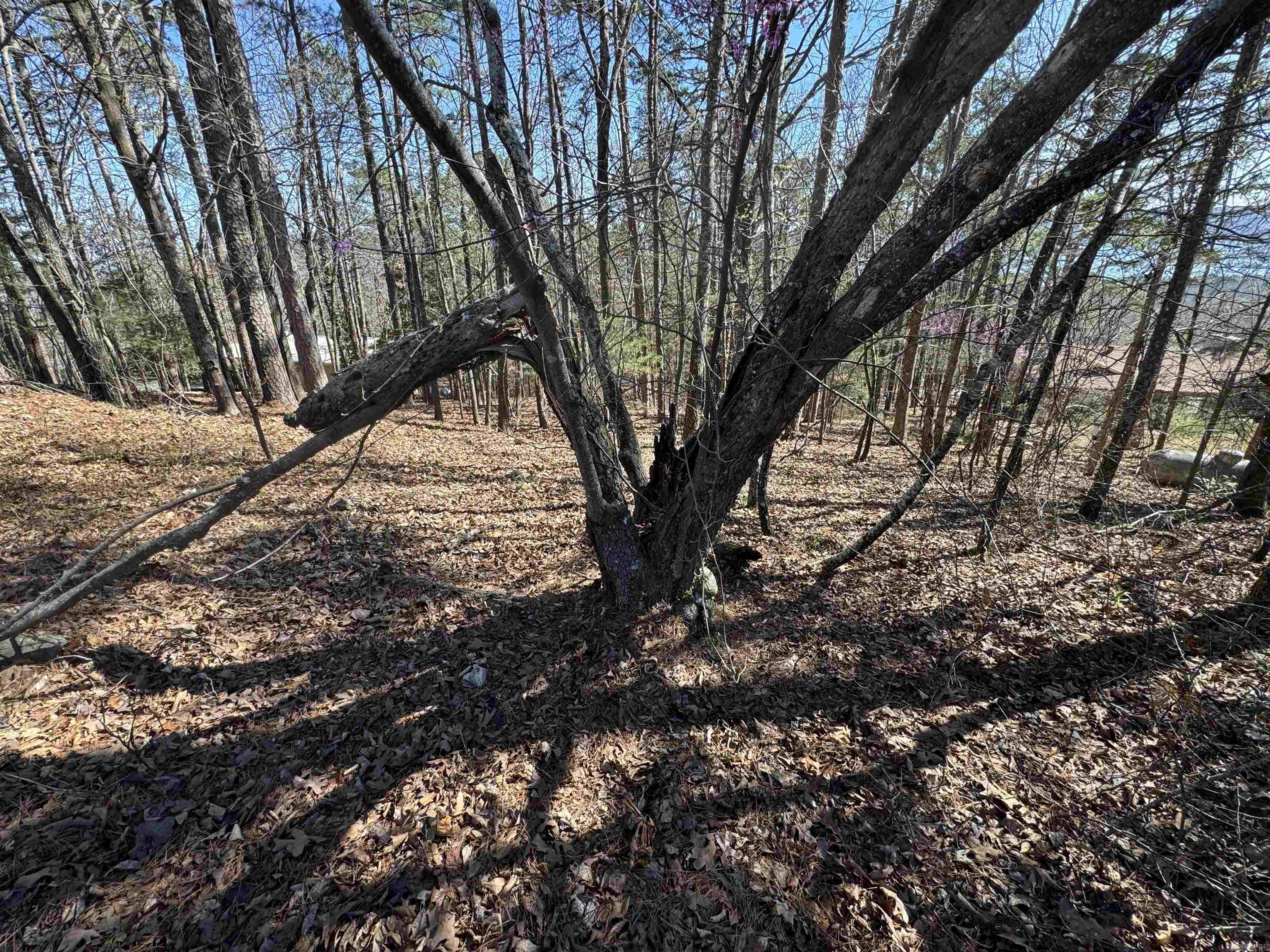 Lot 50 Lakeview  Fairfield, AR