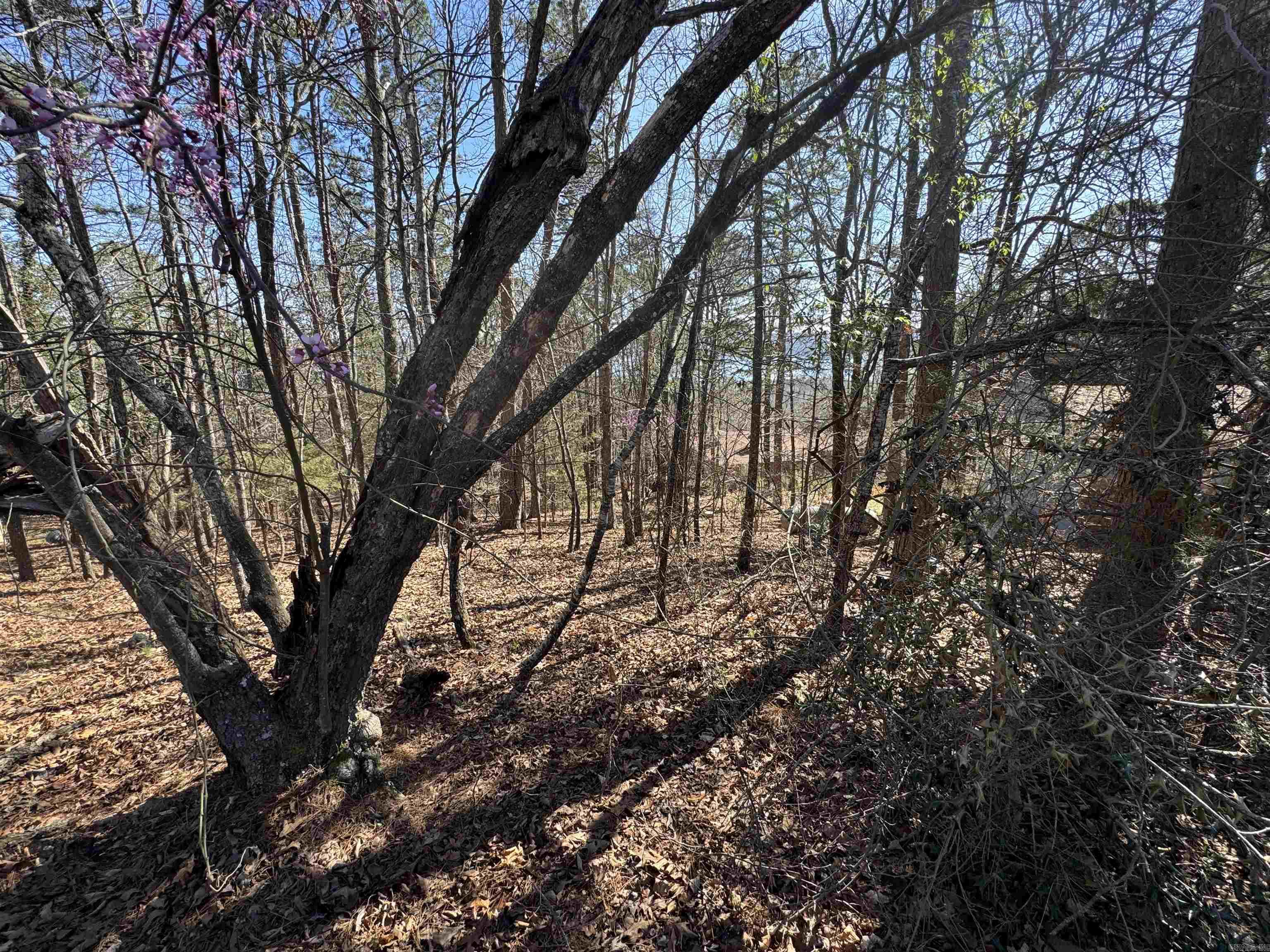 Lot 50 Lakeview  Fairfield, AR