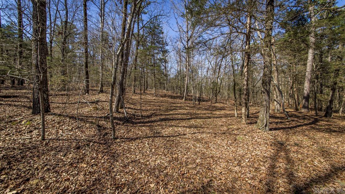 0 Whipporwill  Choctaw, AR