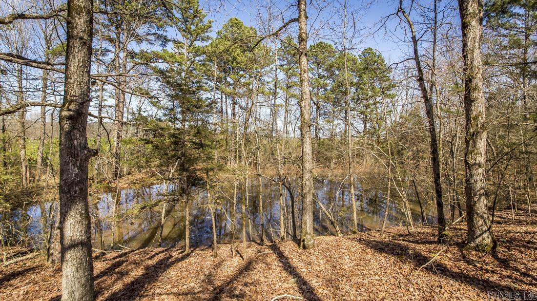 0 Whipporwill  Choctaw, AR