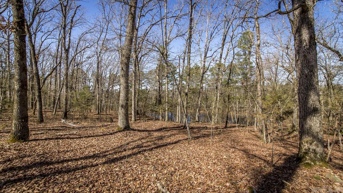 0 Whipporwill  Choctaw, AR