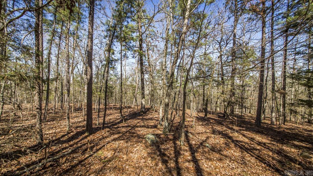 0 Whipporwill  Choctaw, AR