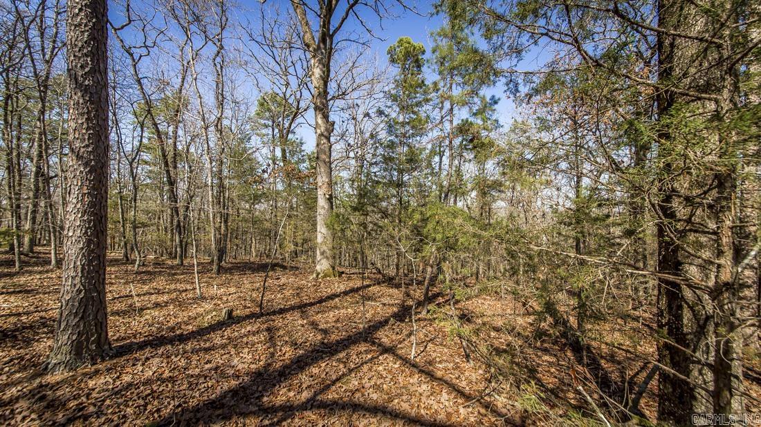 0 Whipporwill  Choctaw, AR