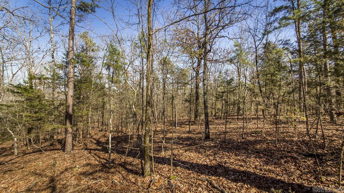 0 Whipporwill  Choctaw, AR