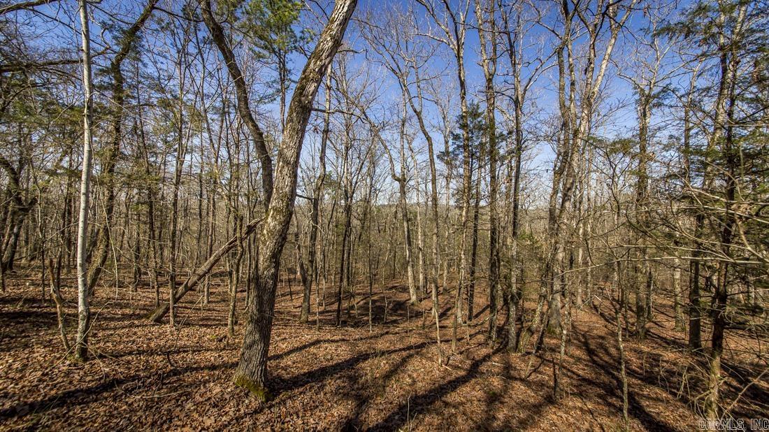 0 Whipporwill  Choctaw, AR