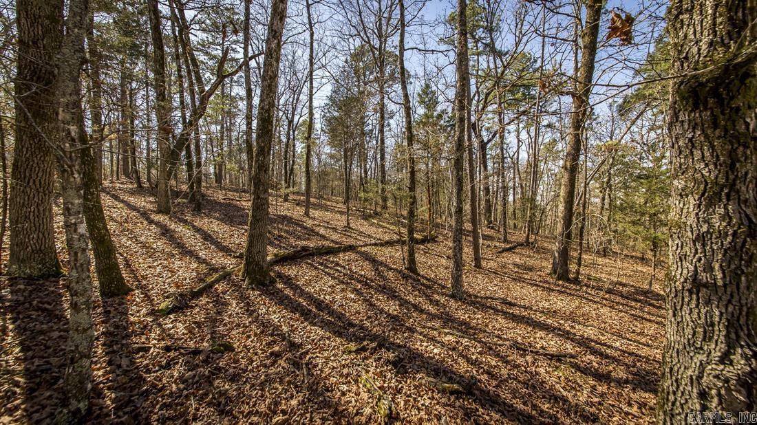 0 Whipporwill  Choctaw, AR