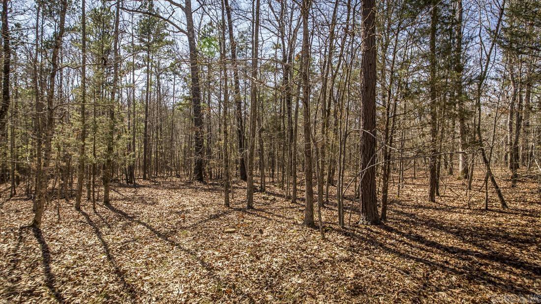 0 Whipporwill  Choctaw, AR