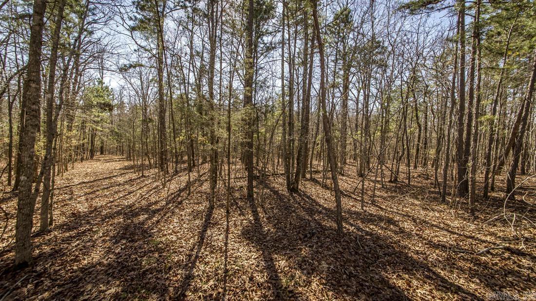 0 Whipporwill  Choctaw, AR