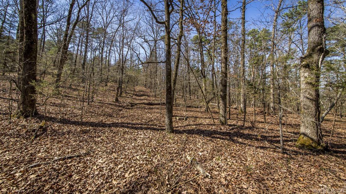 0 Whipporwill  Choctaw, AR