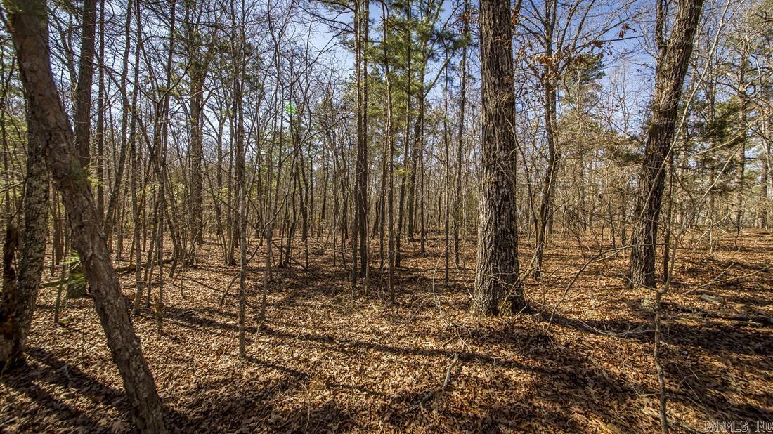 0 Whipporwill  Choctaw, AR