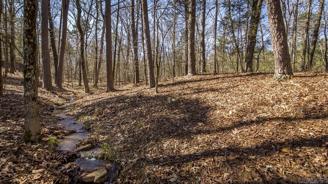 0 Whipporwill  Choctaw, AR