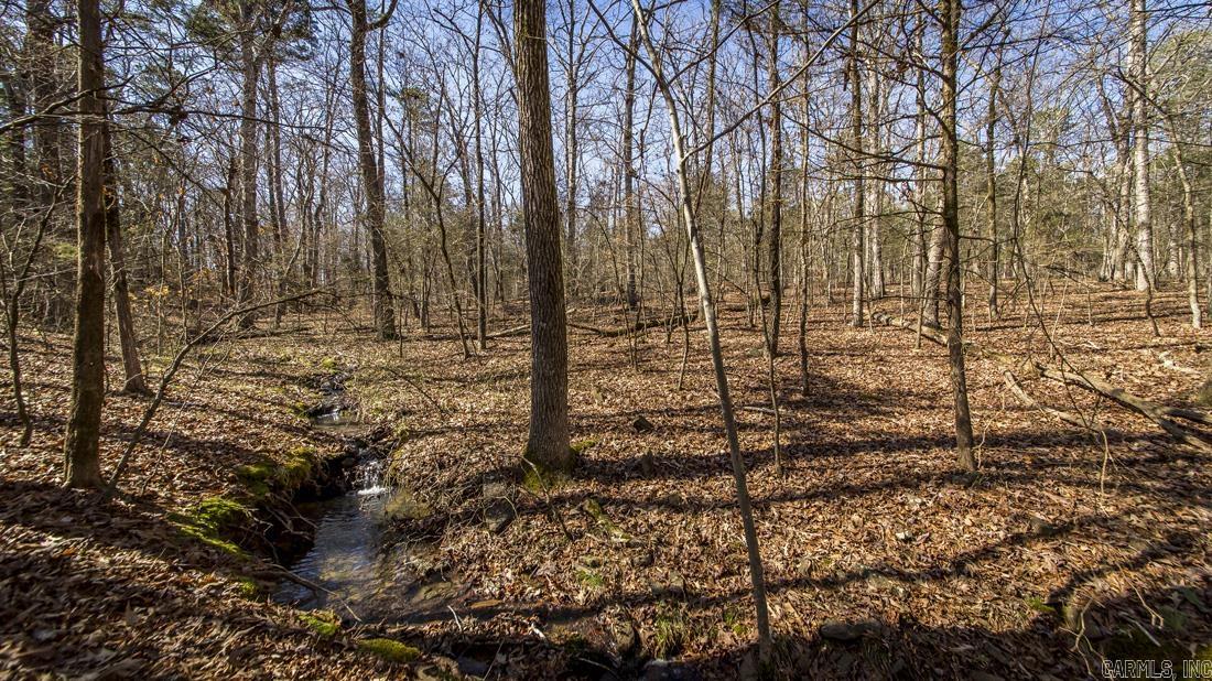 0 Whipporwill  Choctaw, AR