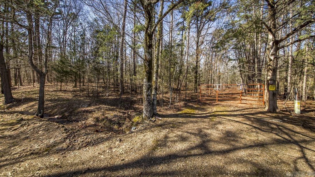 0 Whipporwill  Choctaw, AR