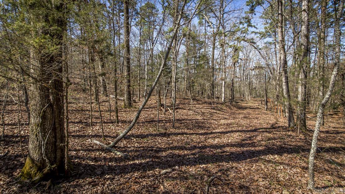 0 Whipporwill  Choctaw, AR