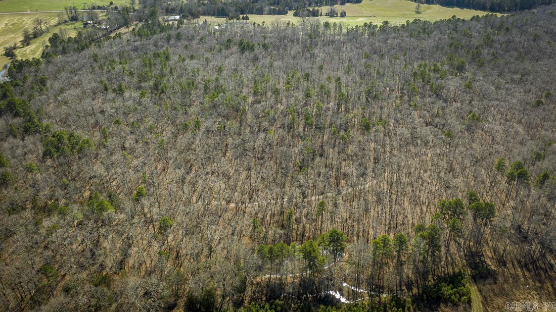 0 Whipporwill  Choctaw, AR