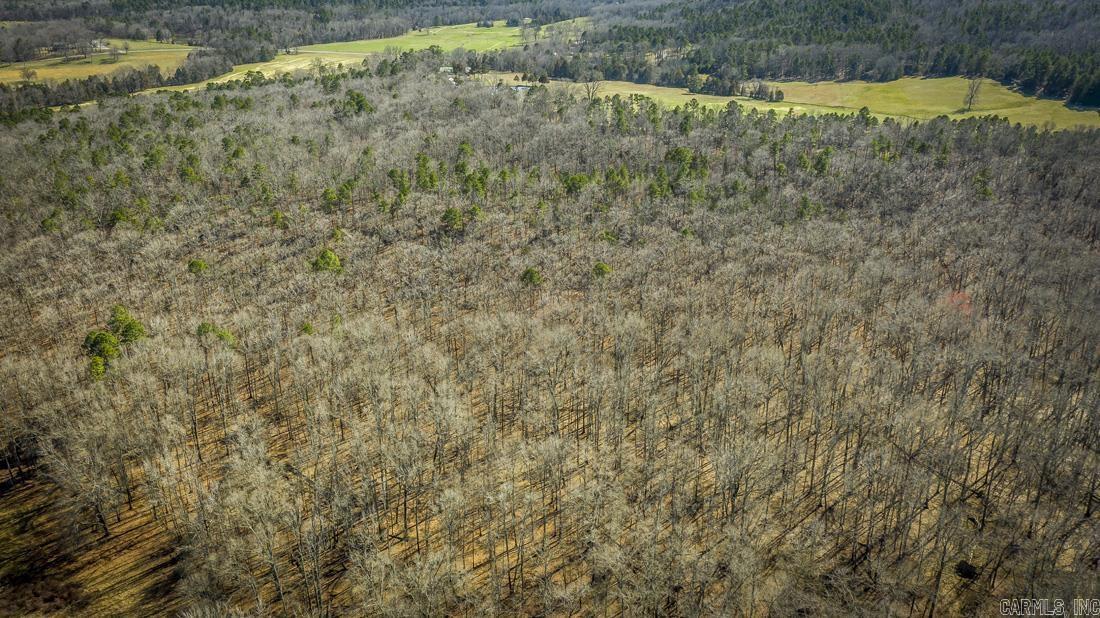 0 Whipporwill  Choctaw, AR