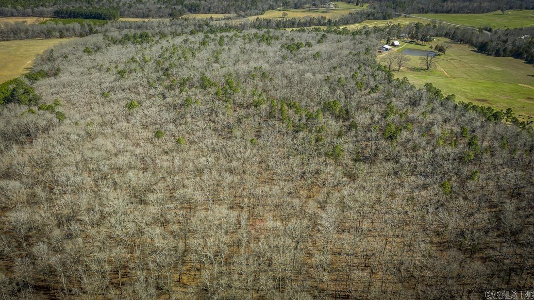 0 Whipporwill  Choctaw, AR