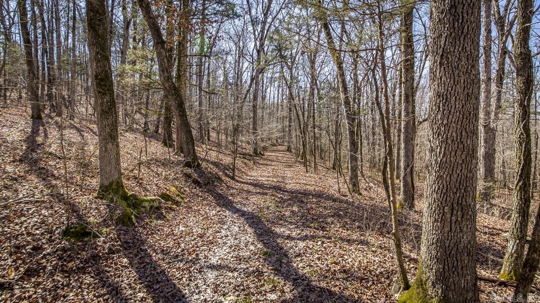 0 Whipporwill  Choctaw, AR