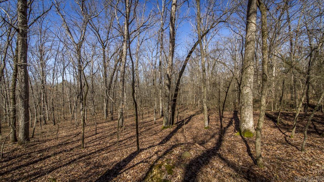 0 Whipporwill  Choctaw, AR